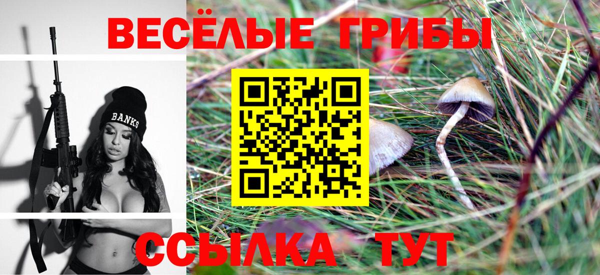 наркота  Псилоцибиновые грибы Magic Shrooms  Вход с VPN  Воскресенск 